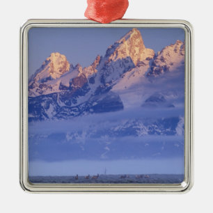 Ornement En Métal Amérique du Nord, États-Unis, Wyoming, Grand Teton