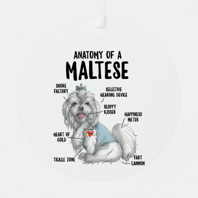 Ornement En Métal Anatomie d'un chien maltais propriétaire chiot drô (Recto)