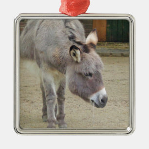 Ornement En Métal Âne doux, Gris animal, Famille de chevaux