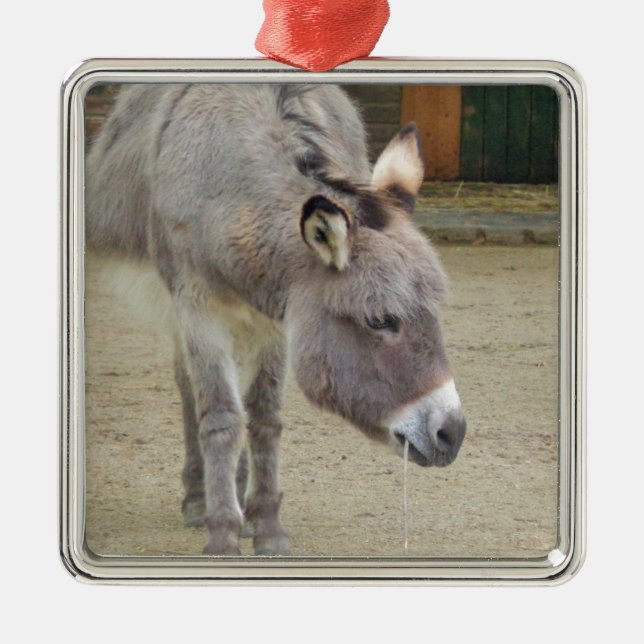 Ornement En Métal Âne doux, Gris animal, Famille de chevaux (Devant)