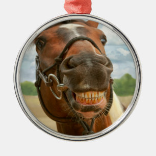 Ornement En Métal Animal - Cheval - Je viens enfin de retirer mon ap