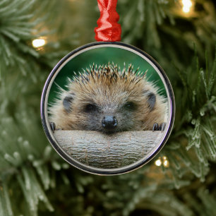 Ornement En Métal Animaux de bébés cutest Hedgehog Smile