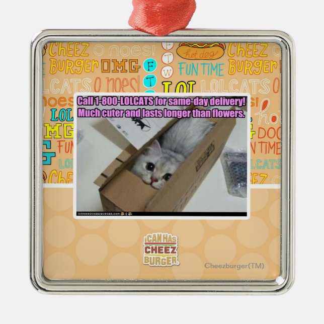 Ornement En Métal Appel 1-800-LOLCATS (Devant)