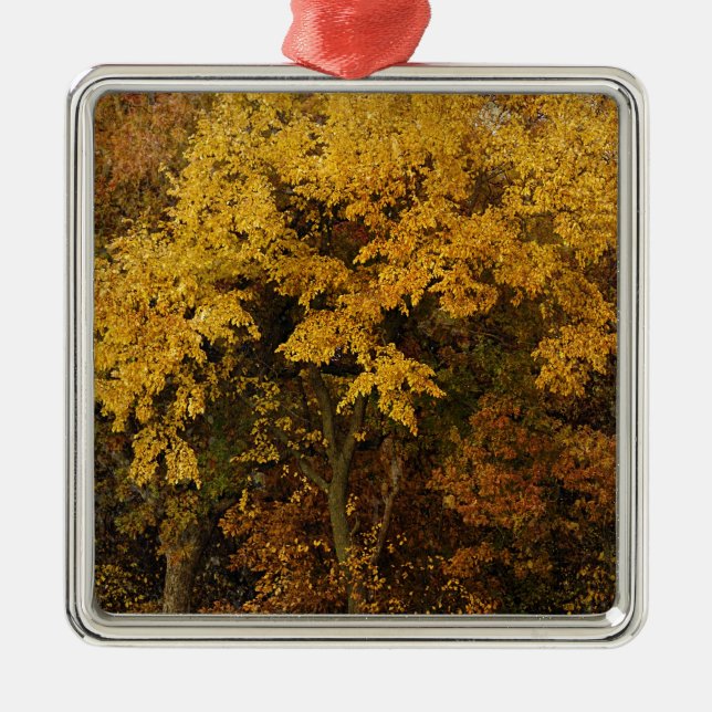 Ornement En Métal Arbres d'automne (Devant)