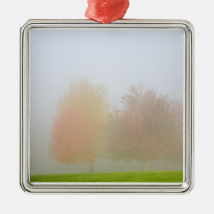 Ornement En Métal Arbres de chute enveloppés en brume
