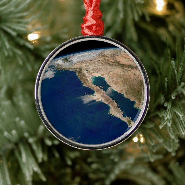 Ornement En Métal Basse Californie Et Côte Pacifique Du Mexique. (Arbre)