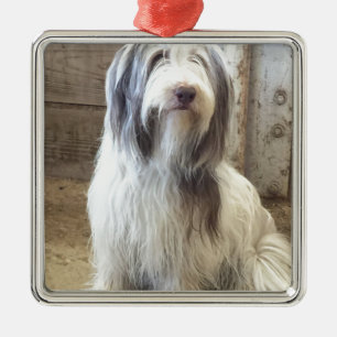 Ornement En Métal Bearded Collie