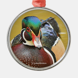 Ornement En Métal Beau canard à bois dans l'étang