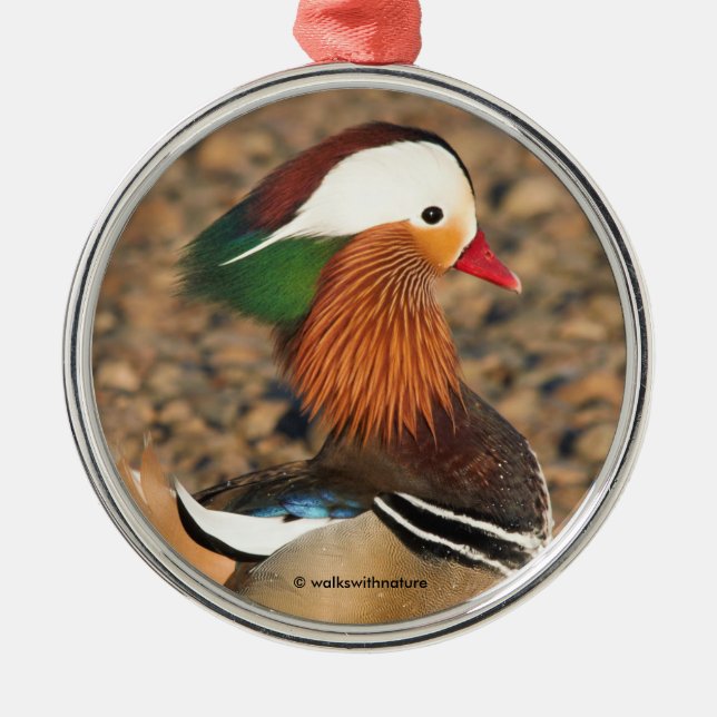 Ornement En Métal Beau canard Mandarin sur les rochers (Devant)