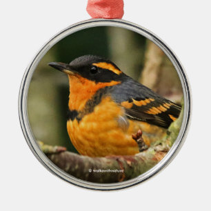Ornement En Métal Beau oiseau-chanteur à gorge variée dans l'arbre