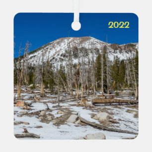 Ornement En Métal Beaux Mammoth Lakes, CA