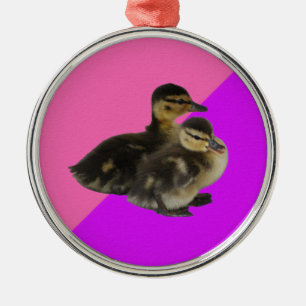 Ornement En Métal Bébé Canards sur framboise rose et sorbet pourpre