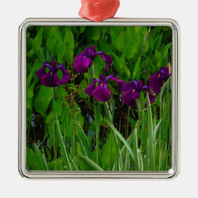 Ornement En Métal Belle Iris Violet (Devant)
