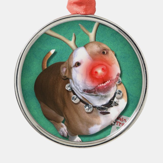 Ornement En Métal Boodolph (Devant)