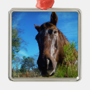 Ornement En Métal Brown et crème Couleur Cheval bleu ciel