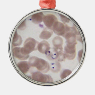Ornement En Métal Calomnie de sang de malaria (Plasmodium)
