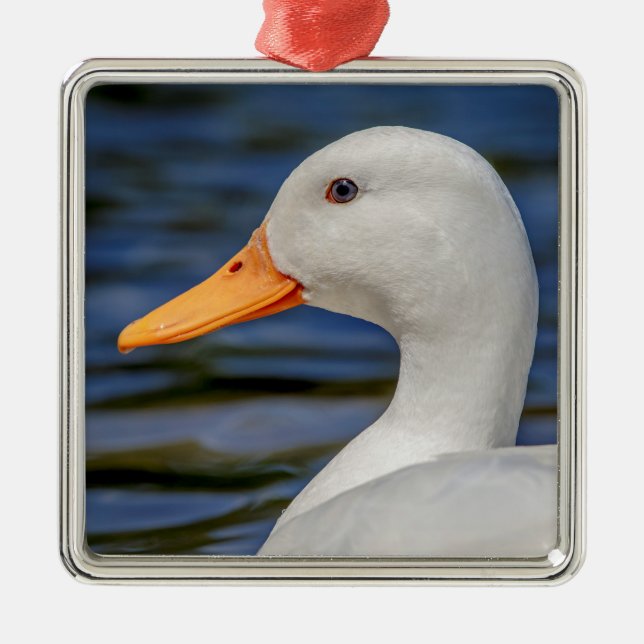 Ornement En Métal Canard blanc (Devant)