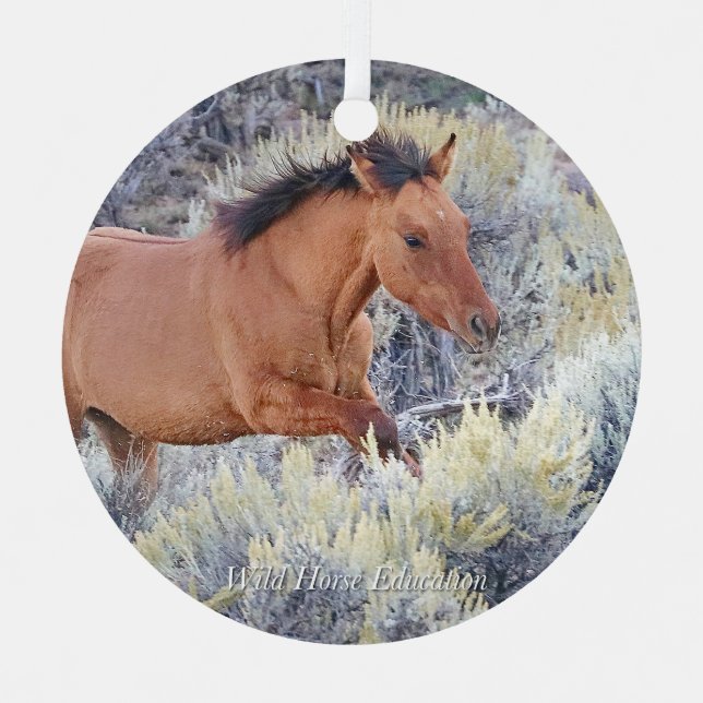 Ornement En Métal Carter Colt, Ornament du Cheval Sauvage (Recto)