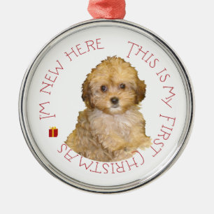 Ornement En Métal Cavachon chiot premier Noël