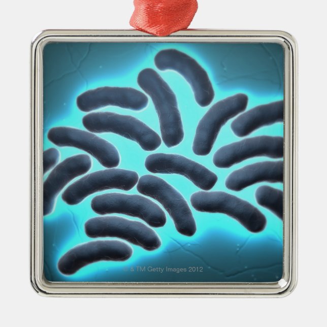 Ornement En Métal cellules 2 d'E-coli (Devant)