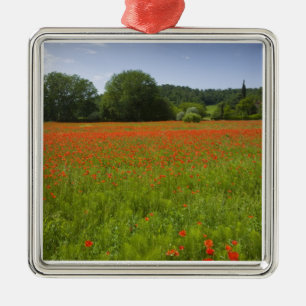 Ornement En Métal Champ de pavot, Chiusi, Italie