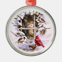 Chat Kitten Oiseaux Famille de neige