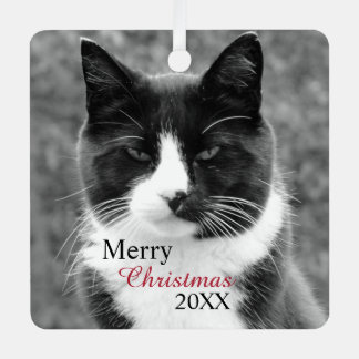 Ornement En Métal Chat noir et blanc personnalisable