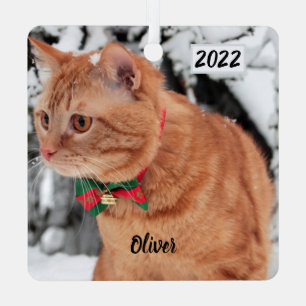 Ornement En Métal Chat Tabby orange dans la neige