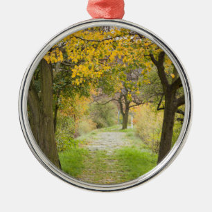 Ornement En Métal Chemin en automne