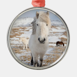Ornement En Métal Cheval Blanc Islandais, Islande