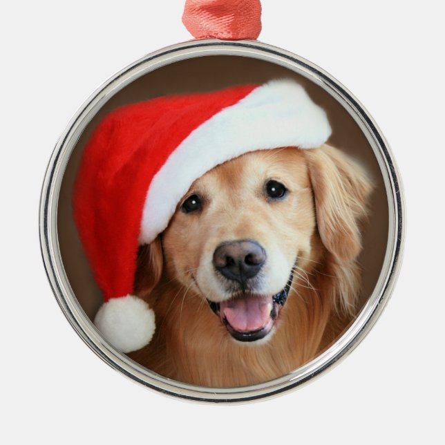 Ornement En Métal Chien de golden retriever avec le casquette rouge (Devant)