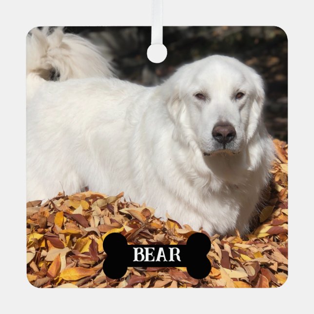 Ornement En Métal Chien Gardien des Pyrénées Blanches (Recto)