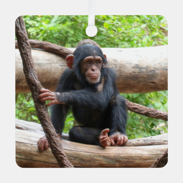 Ornement En Métal Chimpanzée 001 (Recto)