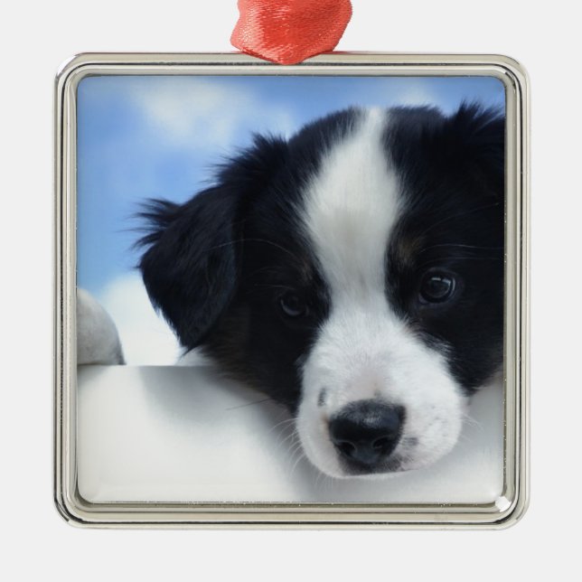 Ornement En Métal Chiot australien de chien de berger (Devant)