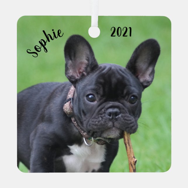 Ornement En Métal Chiot Chien Chien Français Personnalisé  (Verso)