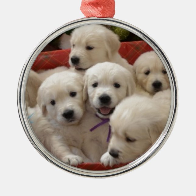 Ornement En Métal Chiots heureux de golden retriever de vacances (Devant)