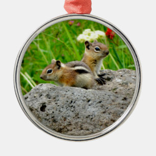 Ornement En Métal Chipmunks