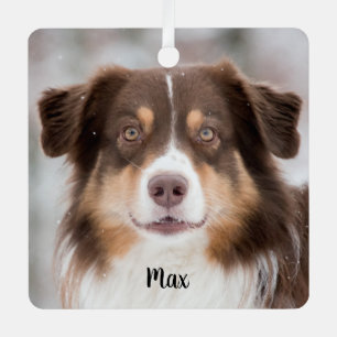 Ornement En Métal Chocolat Berger Australien Chien Chien Chien Chien