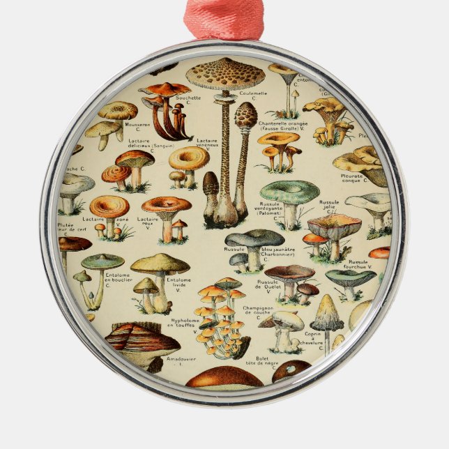 Ornement En Métal Collection de champignons (Devant)
