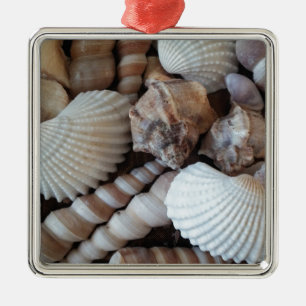 Ornement En Métal Collection de coquillages ensoleillés Nature été