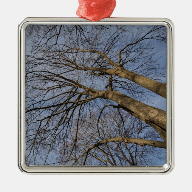 Ornement En Métal Conception/motif du tronc d'arbre. Pioineer Park,  (Devant)