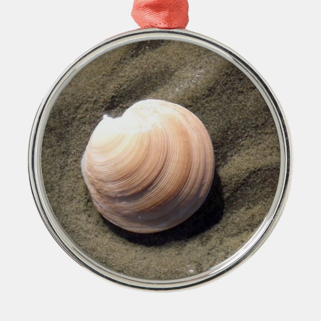 Ornement En Métal Coquillage (Devant)