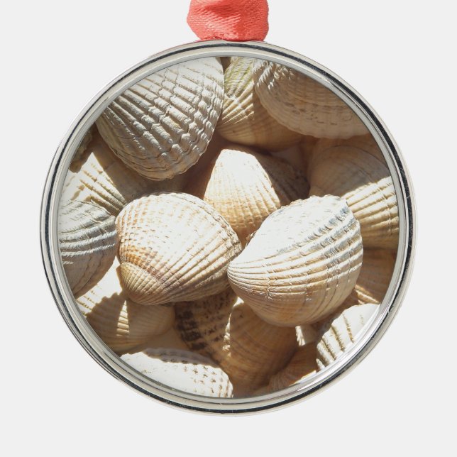 Ornement En Métal Coquillages (Devant)