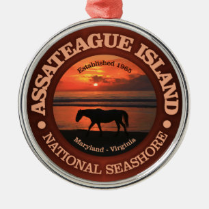 Ornement En Métal Côte nationale de l'île Assateague