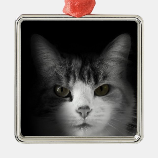 Ornement En Métal Cute chat (Devant)