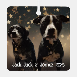 Ornement En Métal Cute Dog Photos Personalized Christmas