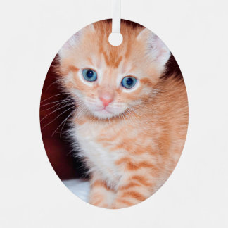 Ornement En Métal Cute Kitten 2 Photo Vertical Oval