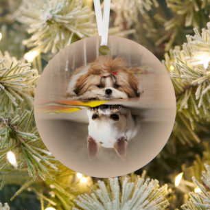 Ornement En Métal Cute shih tzu et chihuahua