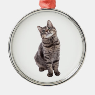 Ornement En Métal Cute tabby Chat