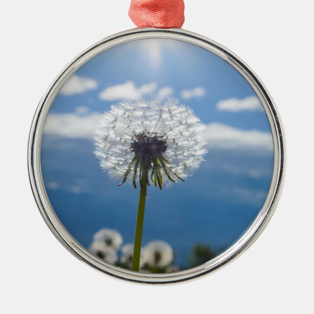 Ornement En Métal Dandelion Dans La Lumière (Devant)